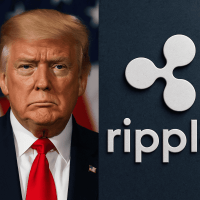 Reserva de criptomonedas de EE.UU.